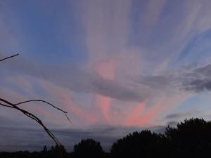 Jacquelien 03 Avondrood